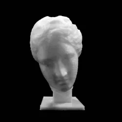 Head of Venus at The Réunion des Musées Nationaux, Paris