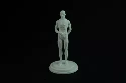 Human Muscle Reference