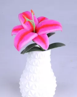 Lily