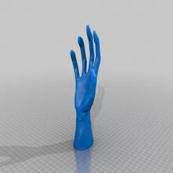 Monkey Hand Dan