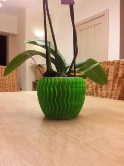 Orchid pot