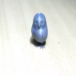 owl head turning