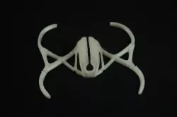 Phantom