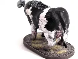 Protocattle