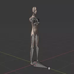 Rigged Female