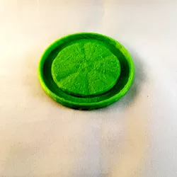 Saucer with moss