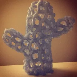 Voronoi Cactus