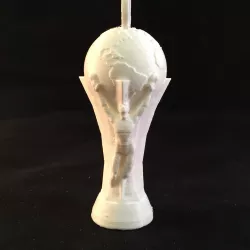 World cup