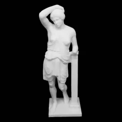 Wounded Amazon at The Metropolitan Museum of Art, New York