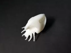 Alien Squid Skull