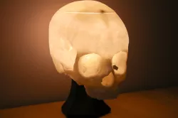 Awesome Skull Lamp!