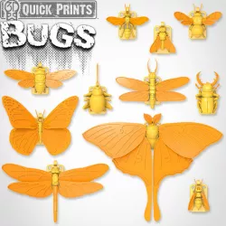 Bugs - by 3DKitbash.com