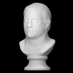 Bust of an Aged Roman at The State Hermitage Museum, St Petersburg