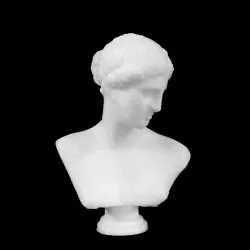 Bust of Venus of Arles at The Louvre, Paris