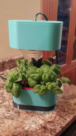 Counter Top Herb Garden