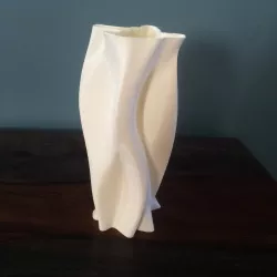 Curvilinear Vase