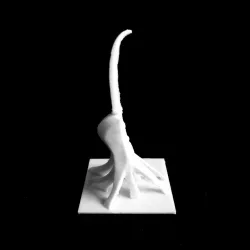 Dacian Sign