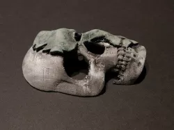 Decay Mask