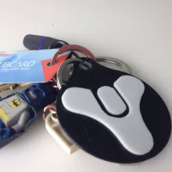 Destiny keyring