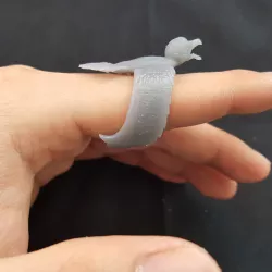 Eagle ring