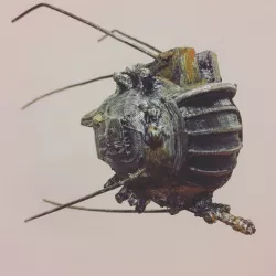 Fallout Eyebot