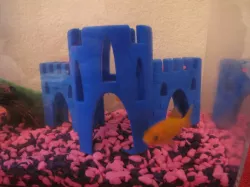 Fish castle