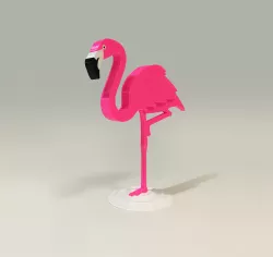 Flamingo