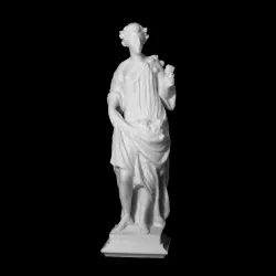 Flora