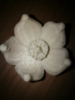 Flower 2