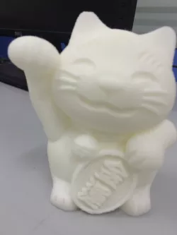 fortune_cat