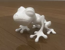 Frog