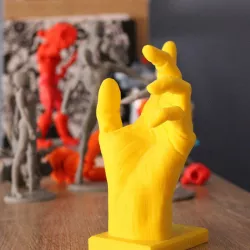 Hand Anatomy