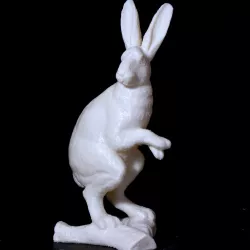 Hare