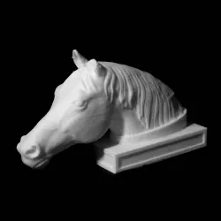 Head of a Horse