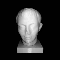 Head of a Man at The Barber Institute, Birmingham