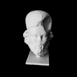 Head of a Prophet at The Musée des Beaux-Arts, Lyon