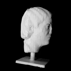 Head of a Woman at The Musée des Beaux-Arts, Lyon