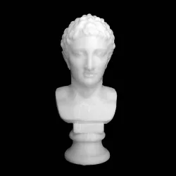 Head of a Youth at The State Hermitage Museum, St Petersburg