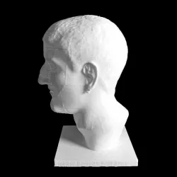 Head of Maximinus Thrax