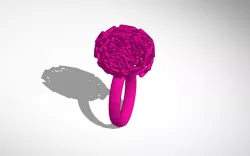 Intermingled Ring