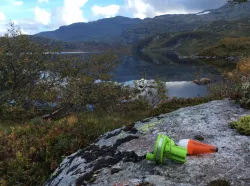 Micro Fishing Rod