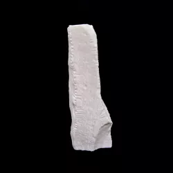 Ogham 3D - CIIC 275. Drumlohan IV, Co. Waterford