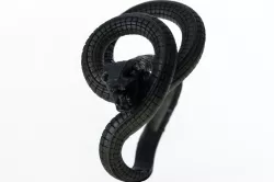 orm ring