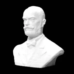 Ormos Zsigmond in Timisoara, Romania