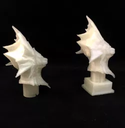Ornstein Head