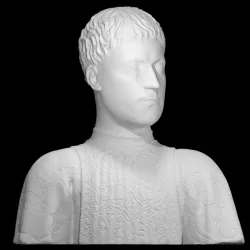 Piero di Cosimo de' Medici