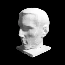 Portrait of a Roman