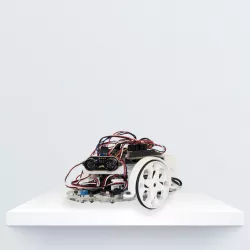 PrintBot Evolution