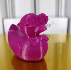 Professor McDuckley
