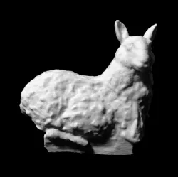 Sheep